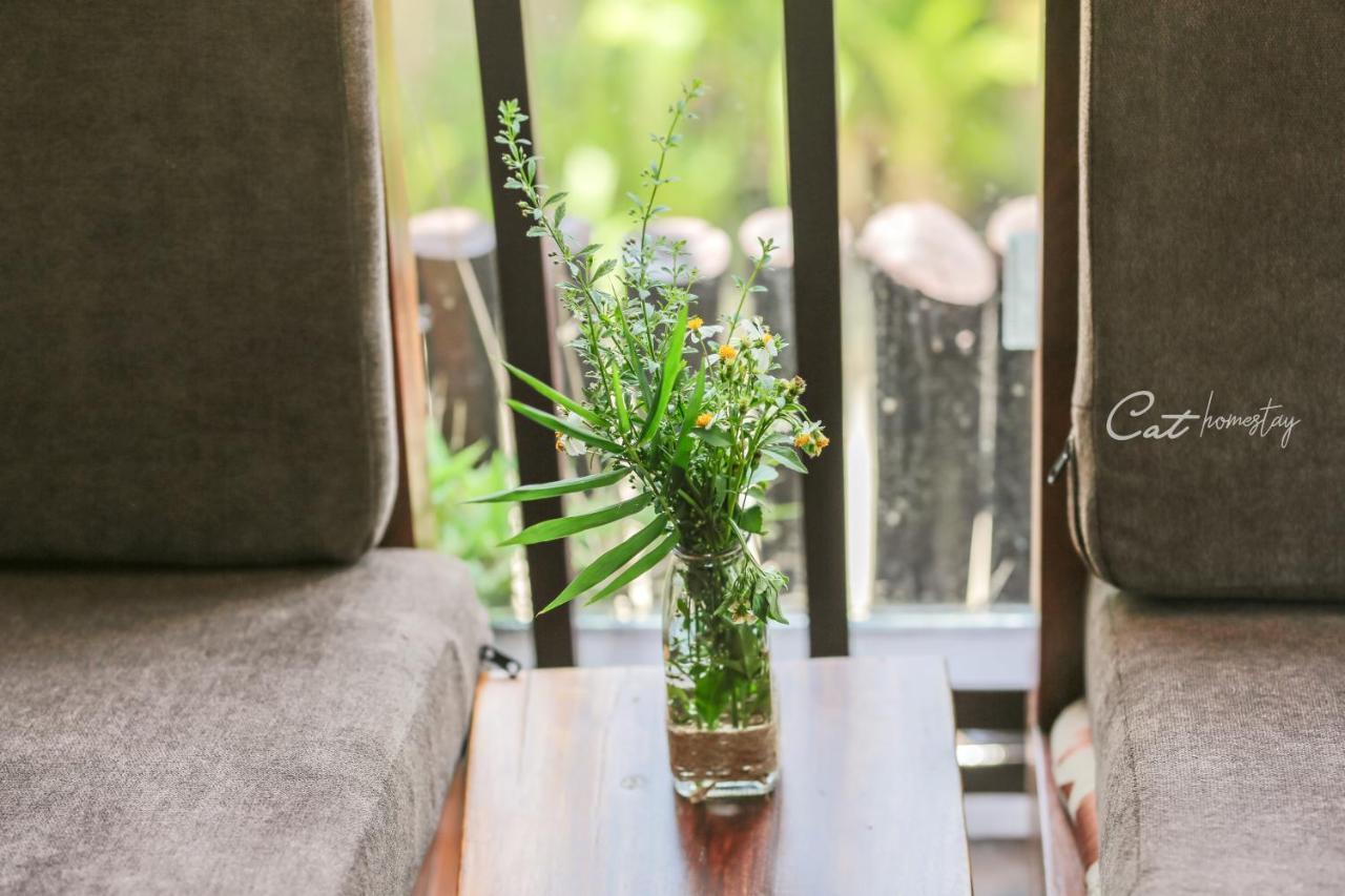 Cat Homestay Hué Extérieur photo