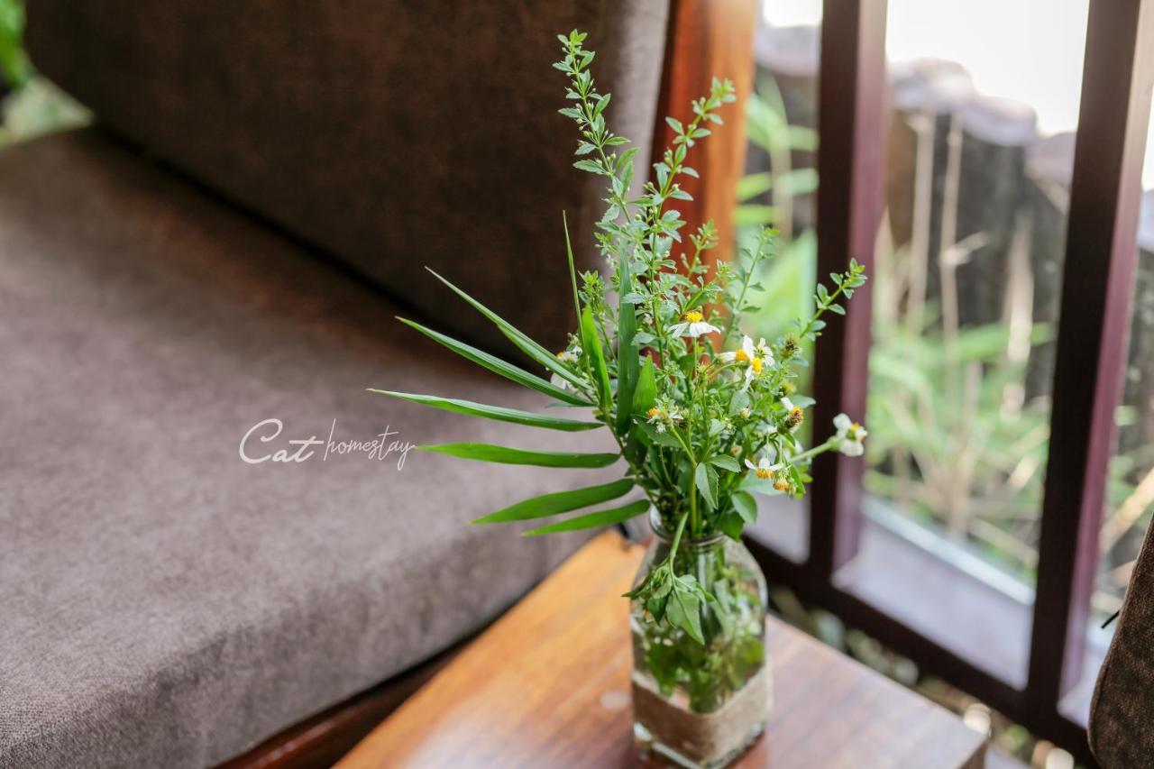Cat Homestay Hué Extérieur photo