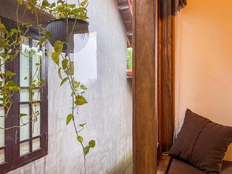 Cat Homestay Hué Extérieur photo